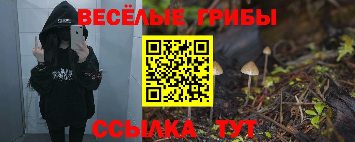 Ижевск  Псилоцибиновые грибы мицелий  где найти   Вход с VPN 