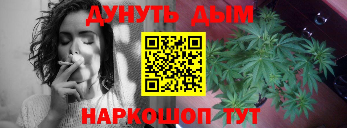 Шишки марихуана марихуана Ижевск
